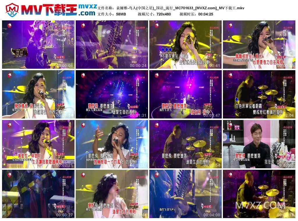 袁娅维-鸟人(中国之星)_国语_流行_MC701633